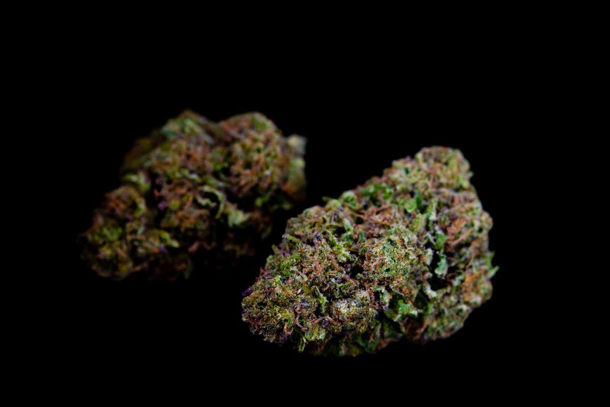 February's Strain of the Month: Grape Ape