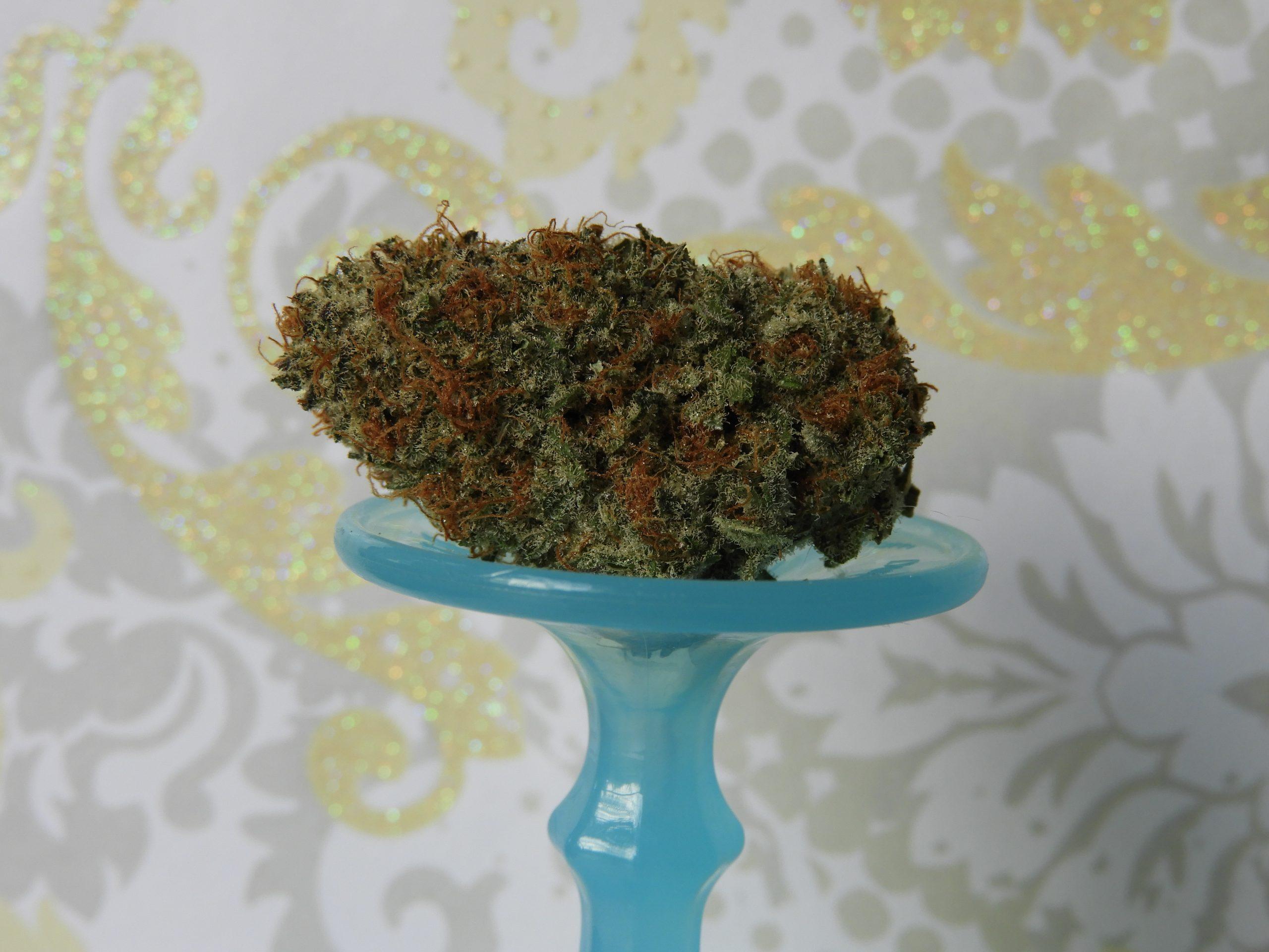 Strain of The Month: Granddaddy Purple