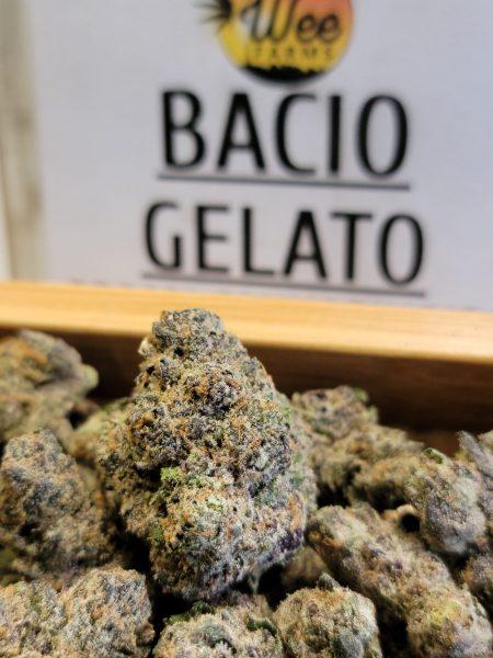 Navigation to Story: Strain of The Month: Bacio Gelato