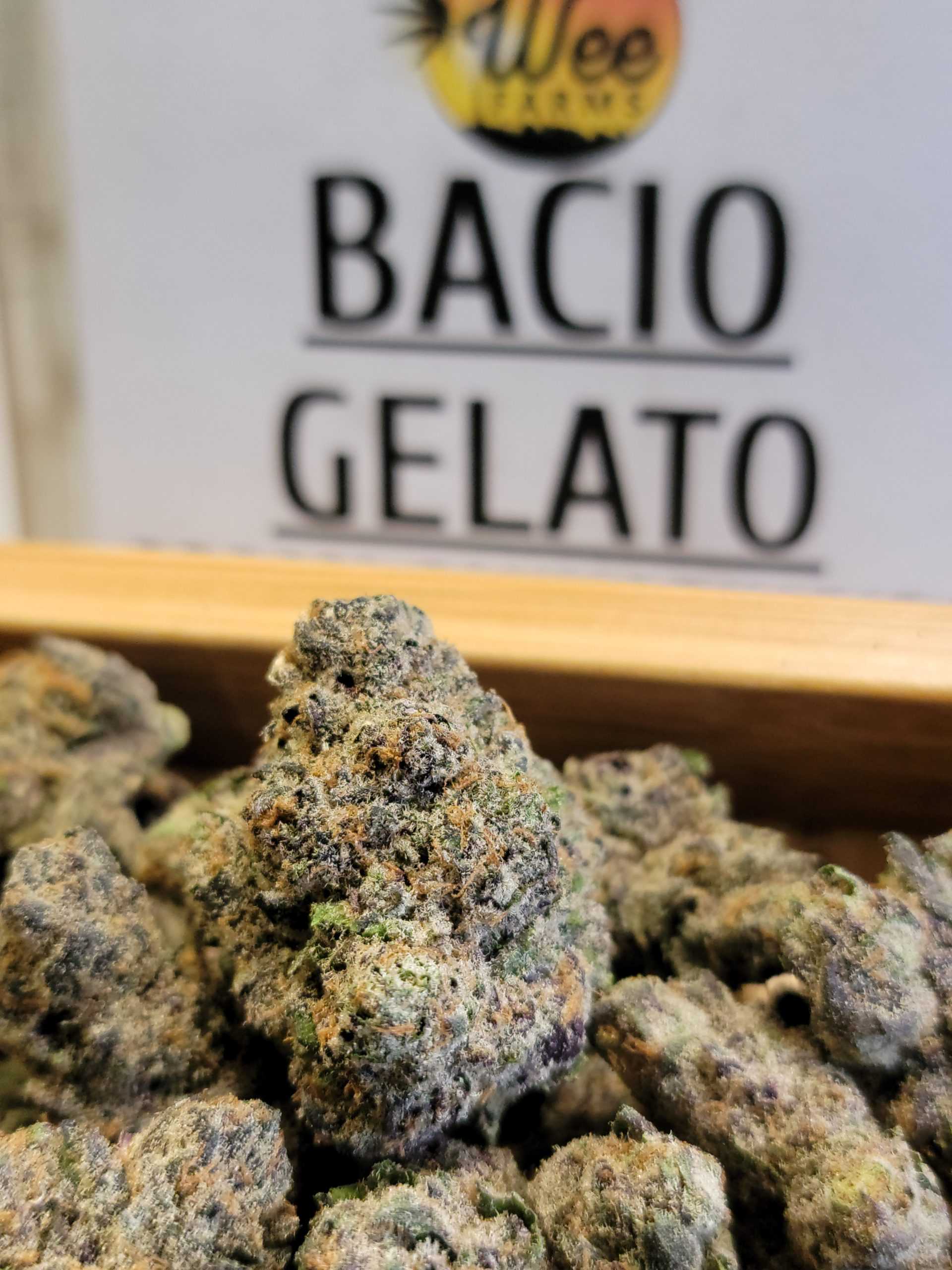 Strain of The Month: Bacio Gelato