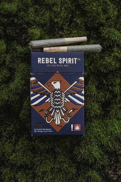 Navigation to Story: High Recommendations: Rebel Spirit 