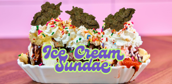 Navigation to Story: Strain of the Month: Ice Cream Sundae