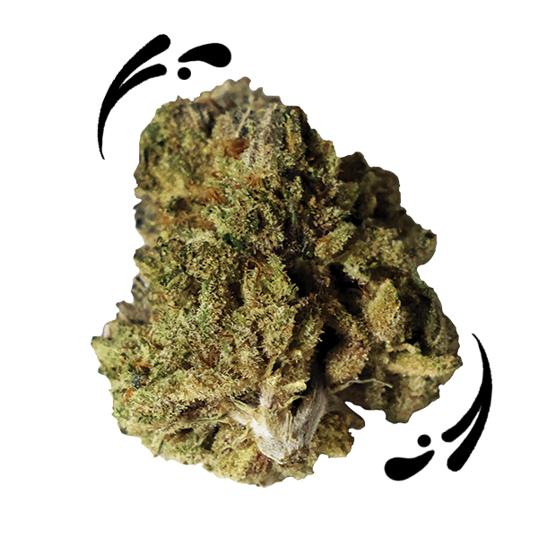 Strain of the Month: Wolf’s Tooth
