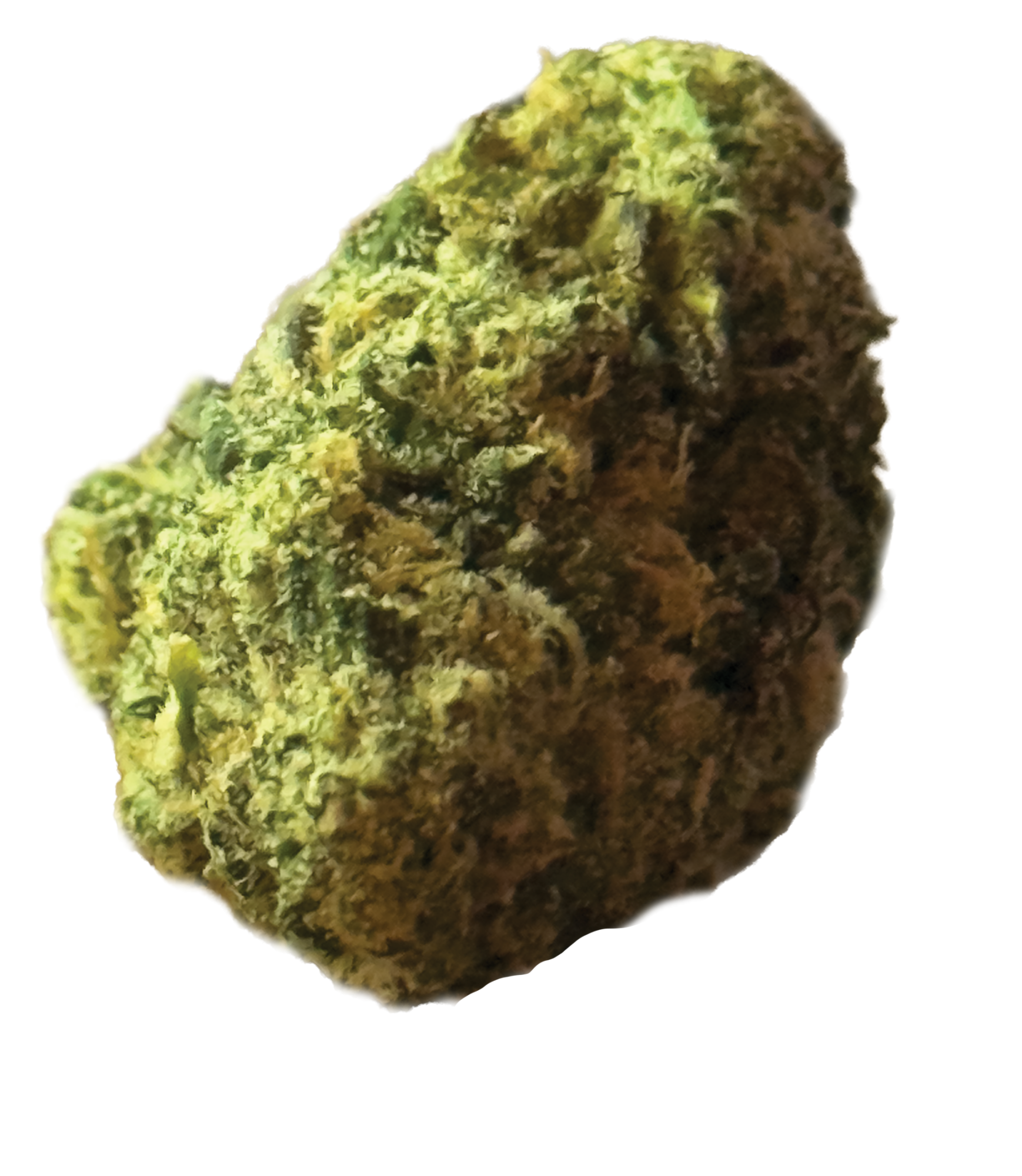 Strain of the Month: Gooch Goblin